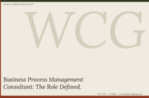 Business Process Management Consultant: The Role Defined