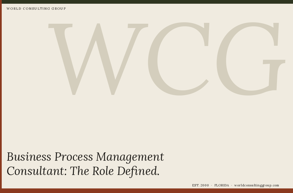 Business Process Management Consultant: The Role Defined