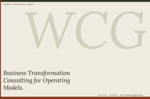 Business Transformation Consulting for Operating Models