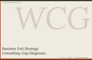 Business Exit Strategy Consulting: Gap Diagnosis