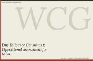 Due Diligence Consultant: Operational Assessment for M&A
