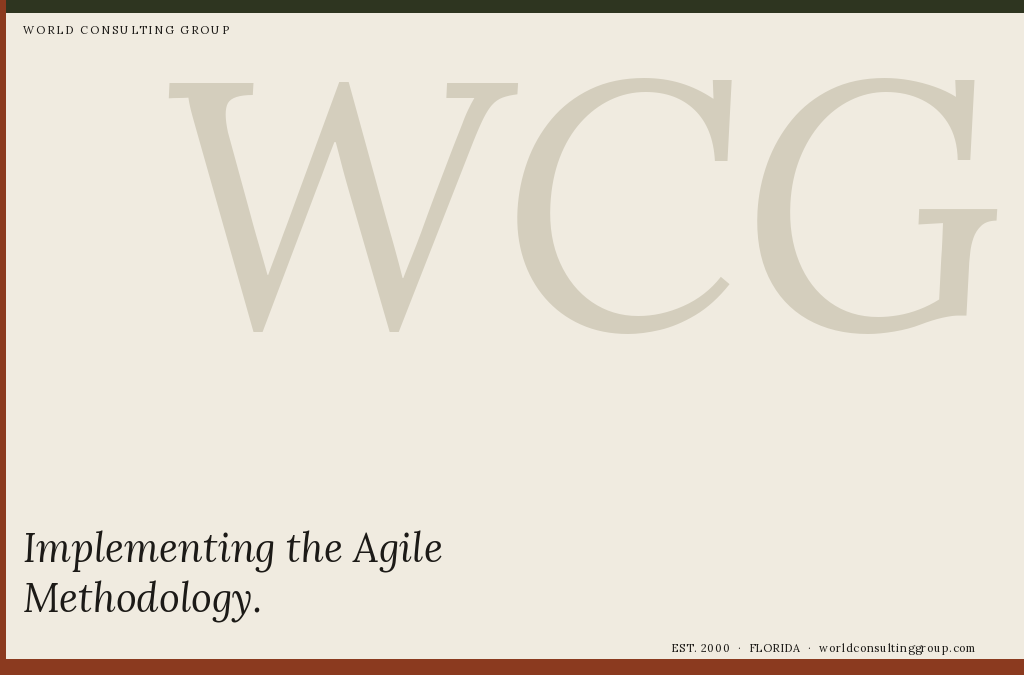 Implementing the Agile Methodology