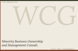 Minority Business Ownership and Management Consult