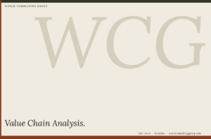 Value Chain Analysis